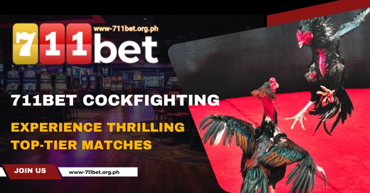 Experience Thrilling Top-Tier Matches at 711Bet Cockfighting