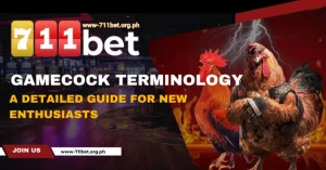 Gamecock Terminology – A Detailed Guide for New Enthusiasts