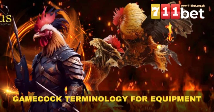 Gamecock Terminology for Equipment