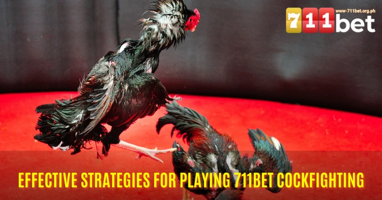 Strategies for Playing 711Bet Cockfighting